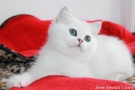 IMG_8488=.jpg