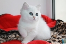 IMG_8492=.jpg