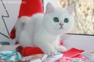IMG_9693=.jpg