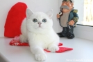 IMG_1700=.jpg