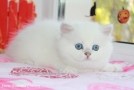 IMG_5785=.jpg