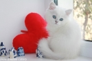 IMG_8422=.jpg