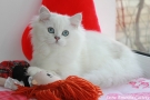 IMG_3233=.jpg