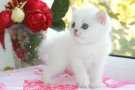 IMG_7089=.jpg