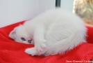 IMG_8004=.jpg
