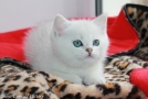 IMG_8637=.jpg