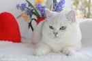 IMG_6731=.jpg