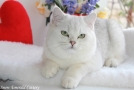 IMG_6790=.jpg