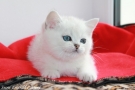 IMG_8710=.jpg