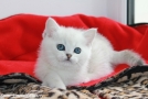 IMG_8739=.jpg