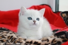 IMG_8747=.jpg