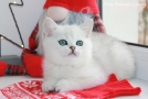 IMG_9345=.jpg
