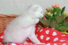 IMG_6537=.jpg