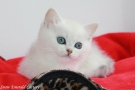 IMG_8582=.jpg