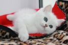 IMG_8601=.jpg