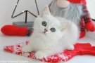 IMG_9493=.jpg