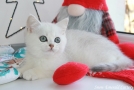 IMG_9546=.jpg