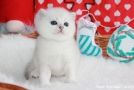 IMG_9012=.jpg