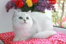 IMG_7094=.jpg