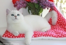 IMG_7463=.jpg