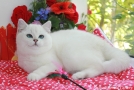 IMG_8162=.jpg