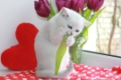 IMG_4186=.jpg