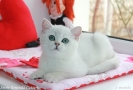 IMG_4798=.jpg