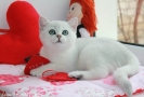 IMG_4742=.jpg