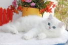 IMG_3751=.jpg