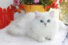 IMG_3767=.jpg