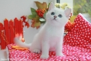 IMG_1284=.jpg
