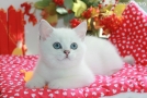 IMG_1297=.jpg