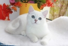 IMG_3624=.jpg