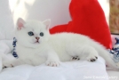 IMG_9970=.jpg