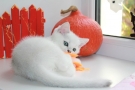 IMG_1876=.jpg