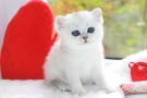IMG_2824=.jpg