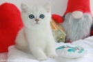 IMG_4025=.jpg
