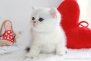 IMG_2874=.jpg
