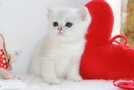 IMG_2880=.jpg