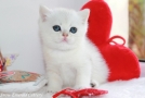 IMG_2885=.jpg