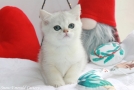 IMG_4466=.jpg