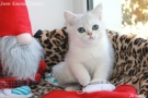 IMG_5153=.jpg
