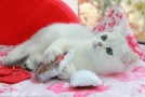 IMG_5324=.jpg