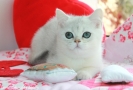 IMG_5320=.jpg