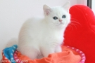 IMG_5537=.jpg