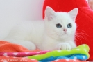 IMG_5637=.jpg