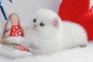 IMG_2732=.jpg
