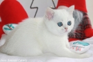 IMG_4356=.jpg