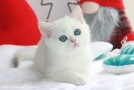 IMG_4389=.jpg