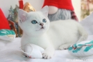 IMG_4631=.jpg